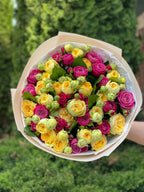 39 pfingstrosenartige Rosen Majestic und Tanya