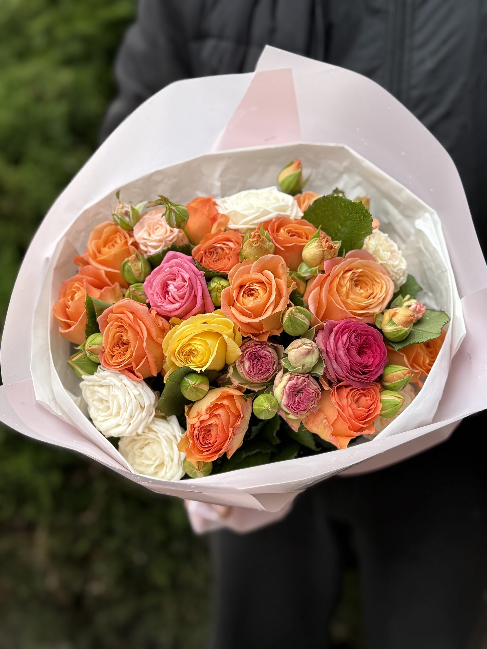19 Rosen, Sortenmix (Assorti)