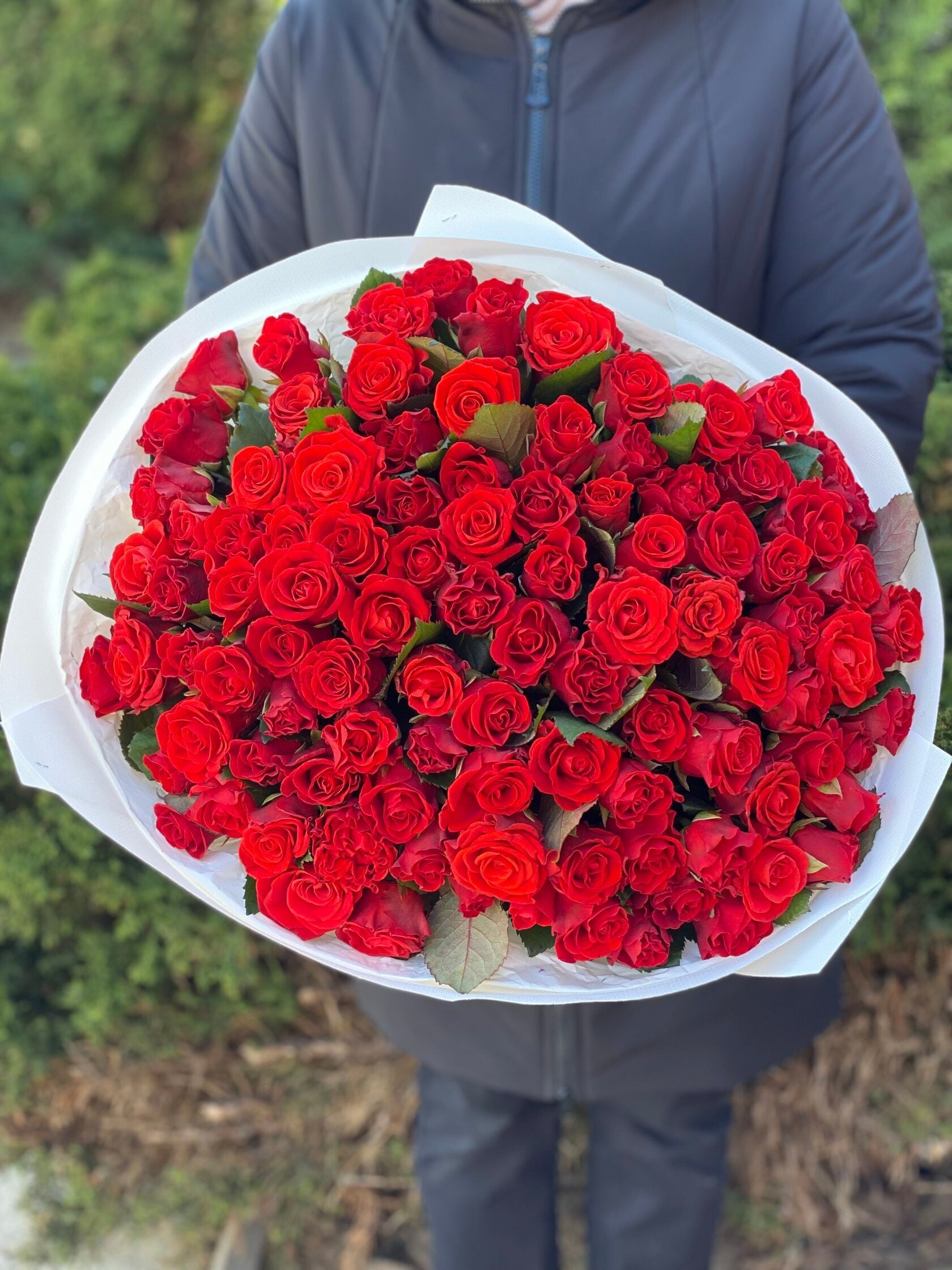 101 Rosen El Toro