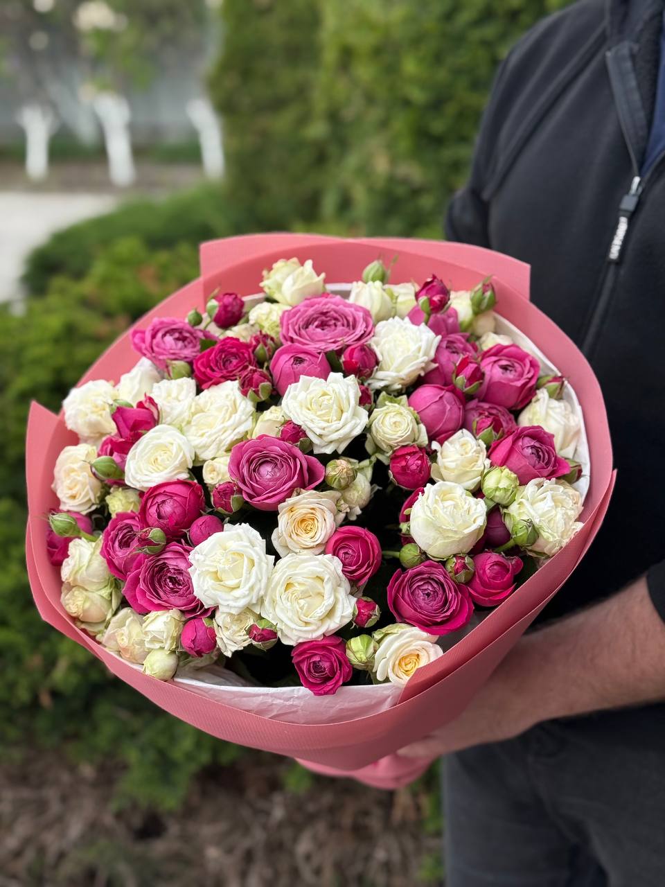 39 Rosen Prince Bombastic und Majestic