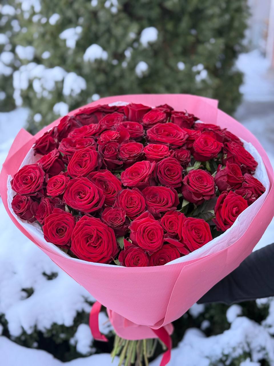 51 Rosen Grand Prix