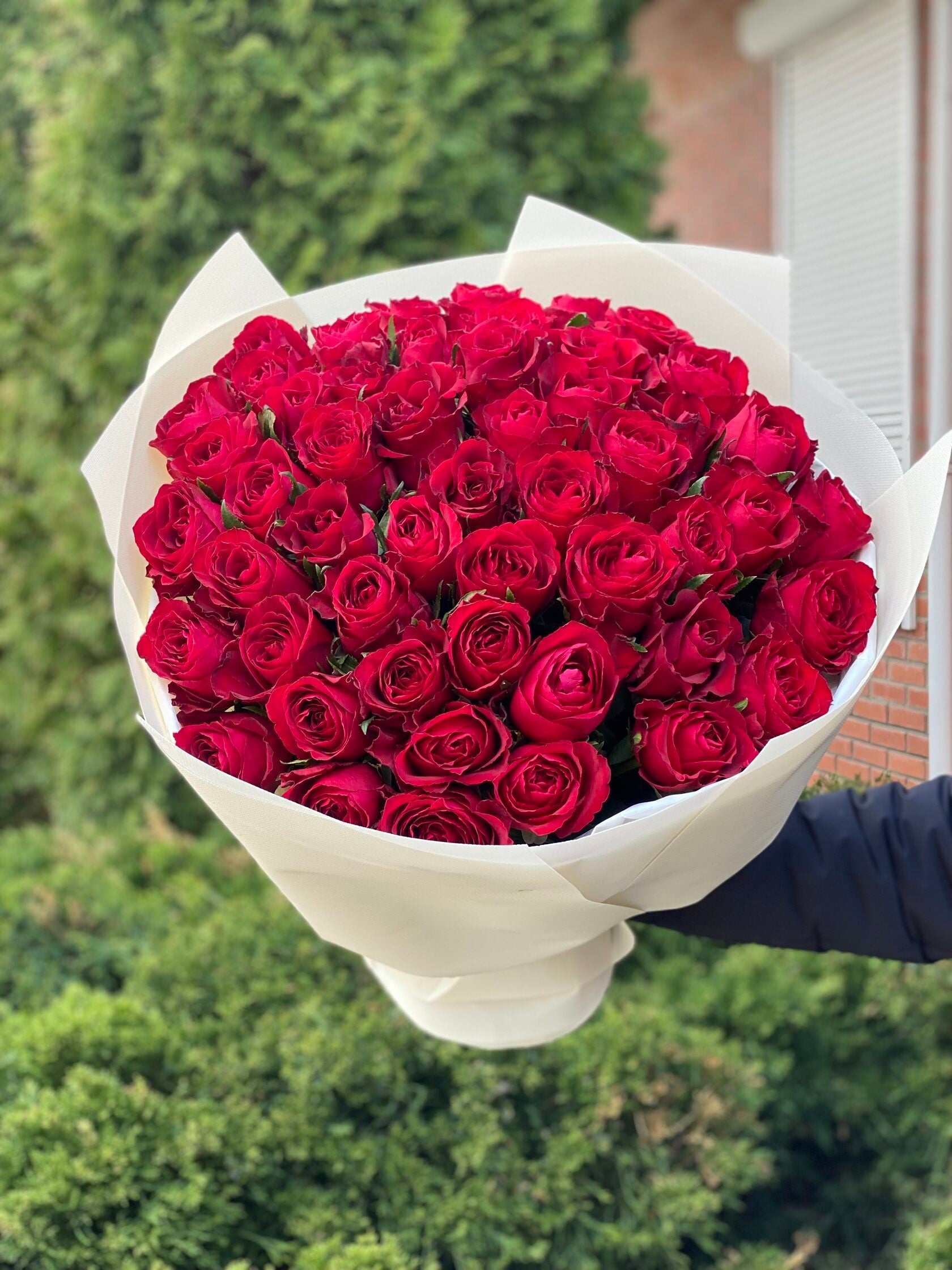 39 Rosen Red Naomi