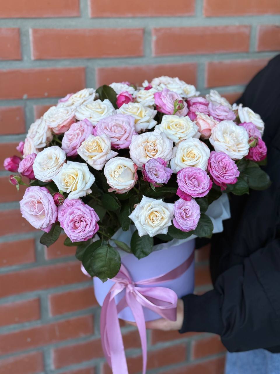 Hutbox XL 51 Rosen (Sorten Bombastic, Lady Bombastic)