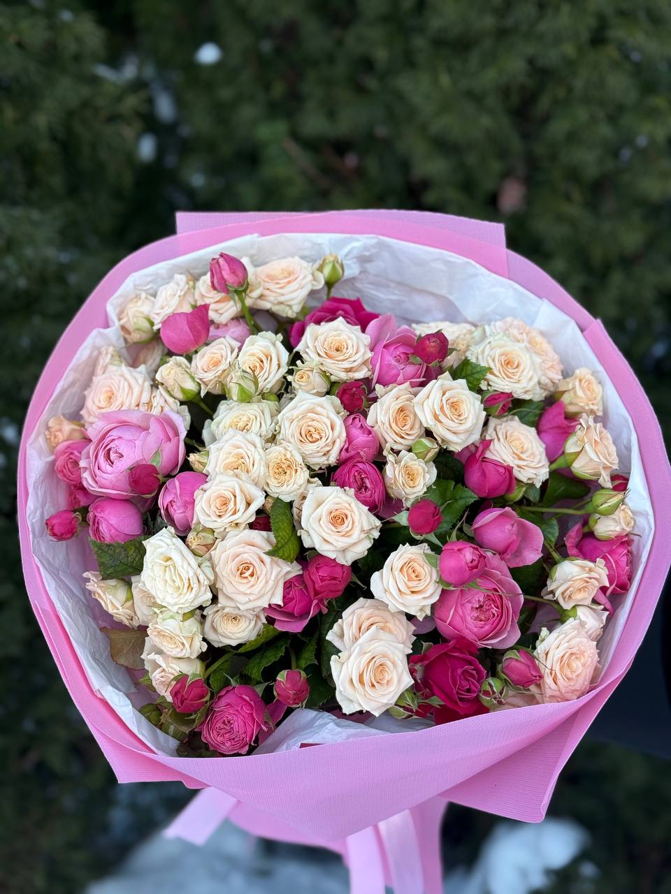 39 Rosen Light und Tanya