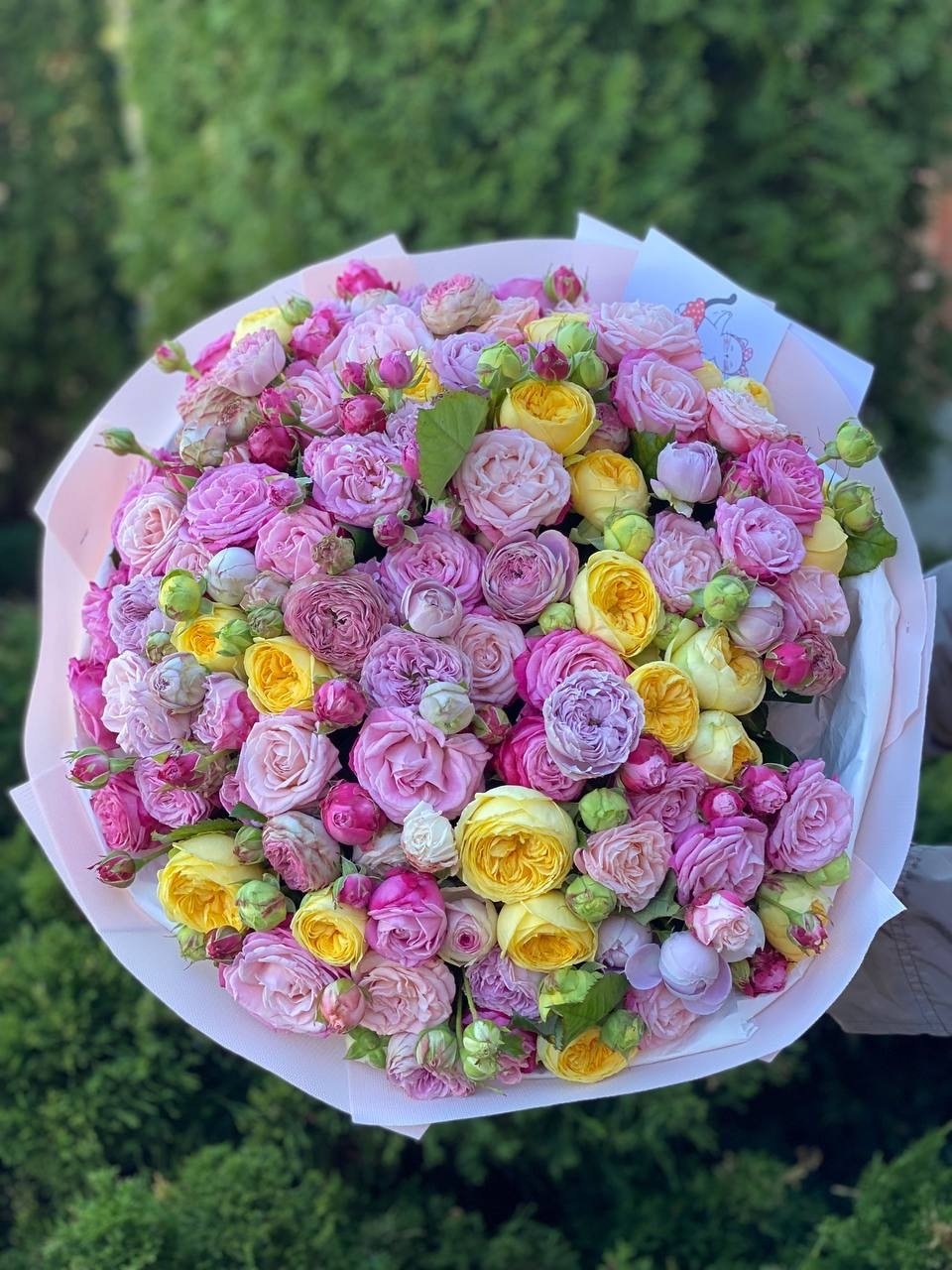 101 pfingstrosenartige Rosen Lady Bombastic, Lavender, Peony