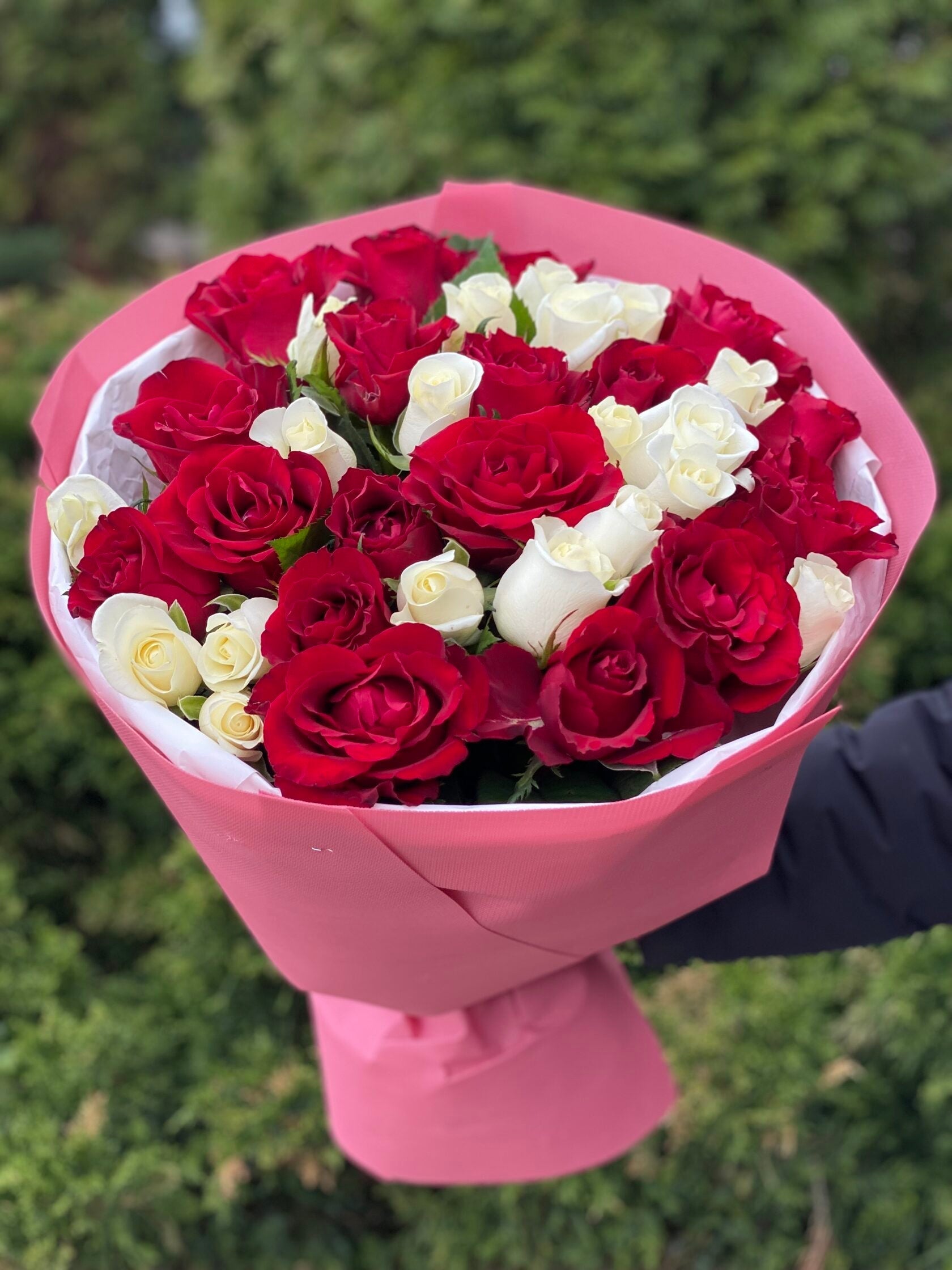 39 Rosen Beluga und Red Eagle