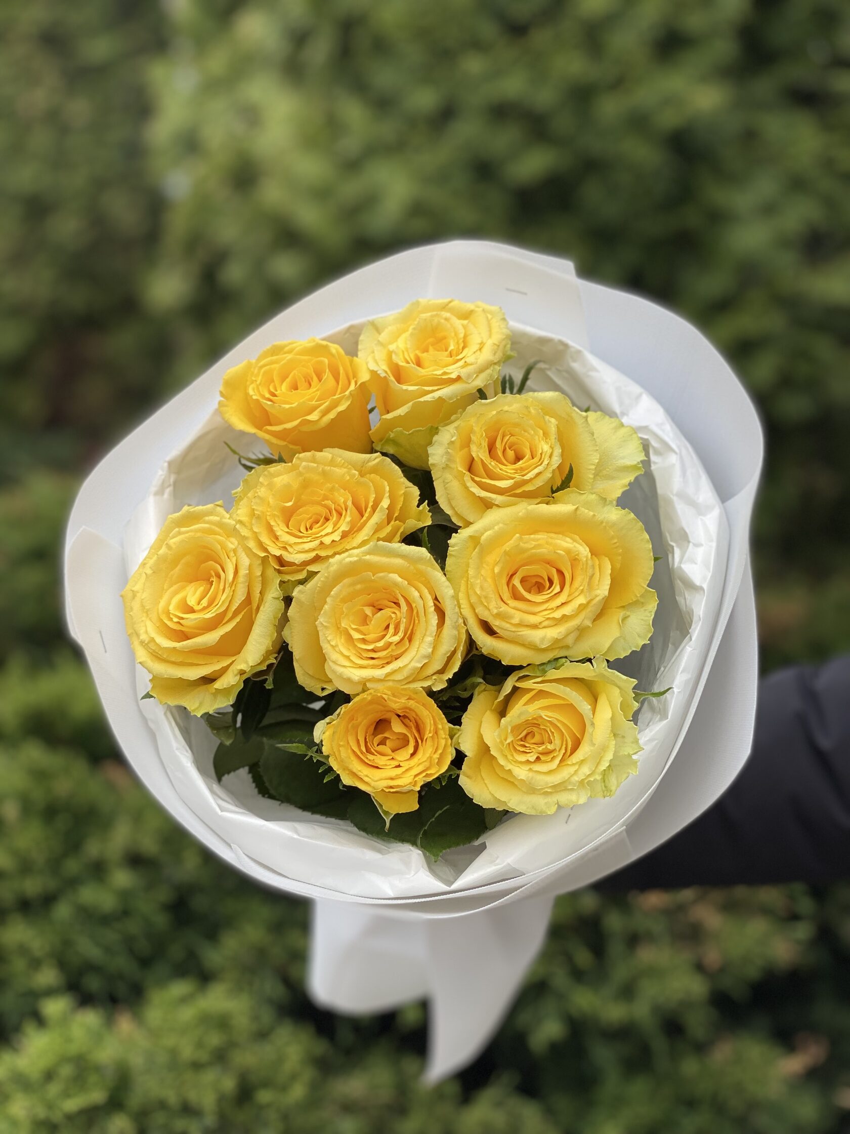 9 Stiele Rosen gelb (50 cm)