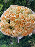 51 Rosen Peach Avalanche