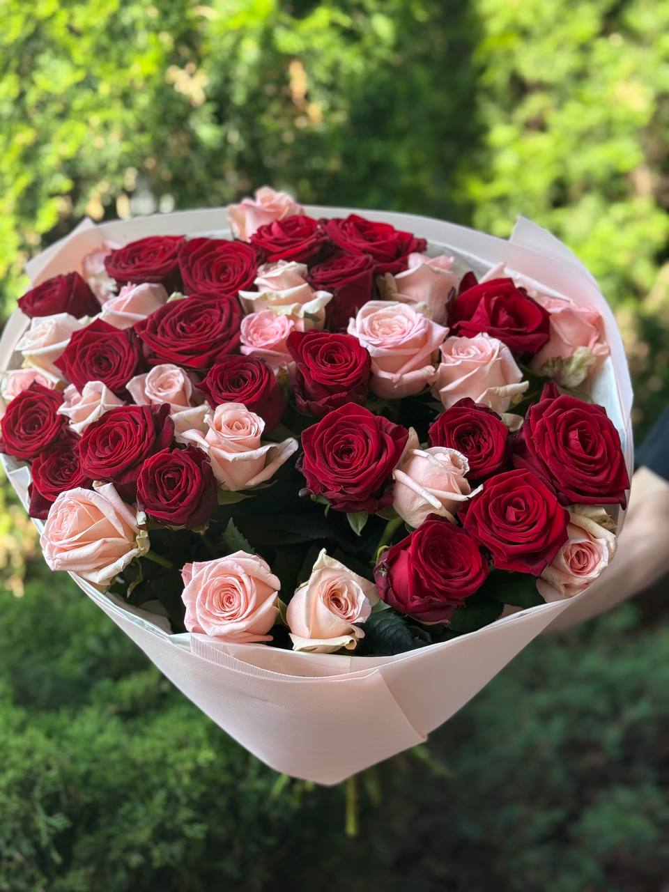 39 Rosen Grand Prix und Kimberly