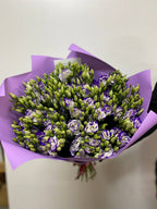 19 Stiele Eustoma (70 cm) violett