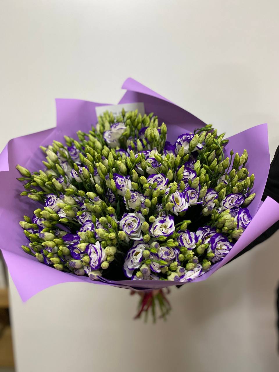 19 Stiele Eustoma (70 cm) violett