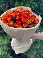39 Rosen Hollandia Orange