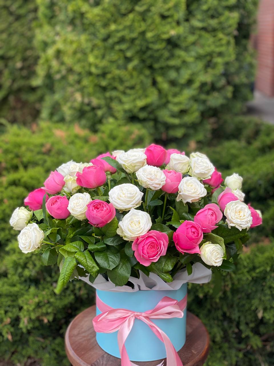 Hutbox XL 51 Rosen (Sorten Miss Bombastic und Line)
