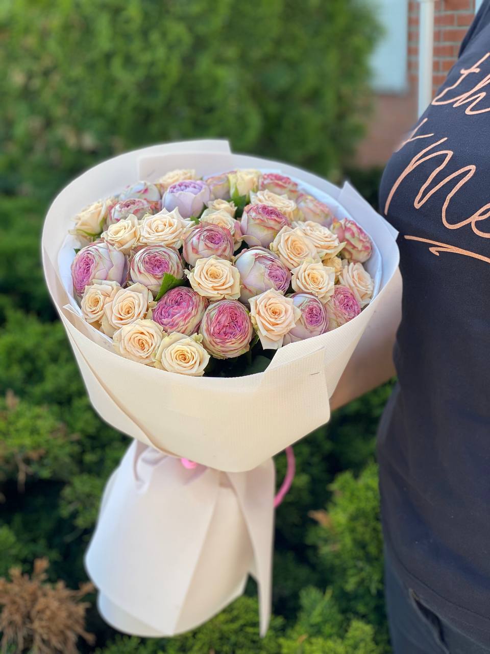 39 pfingstrosenartige Rosen Tanya und Lavender
