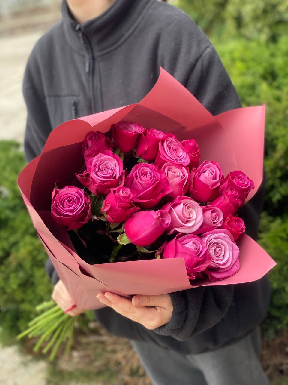 19 Rosen Prince Persia