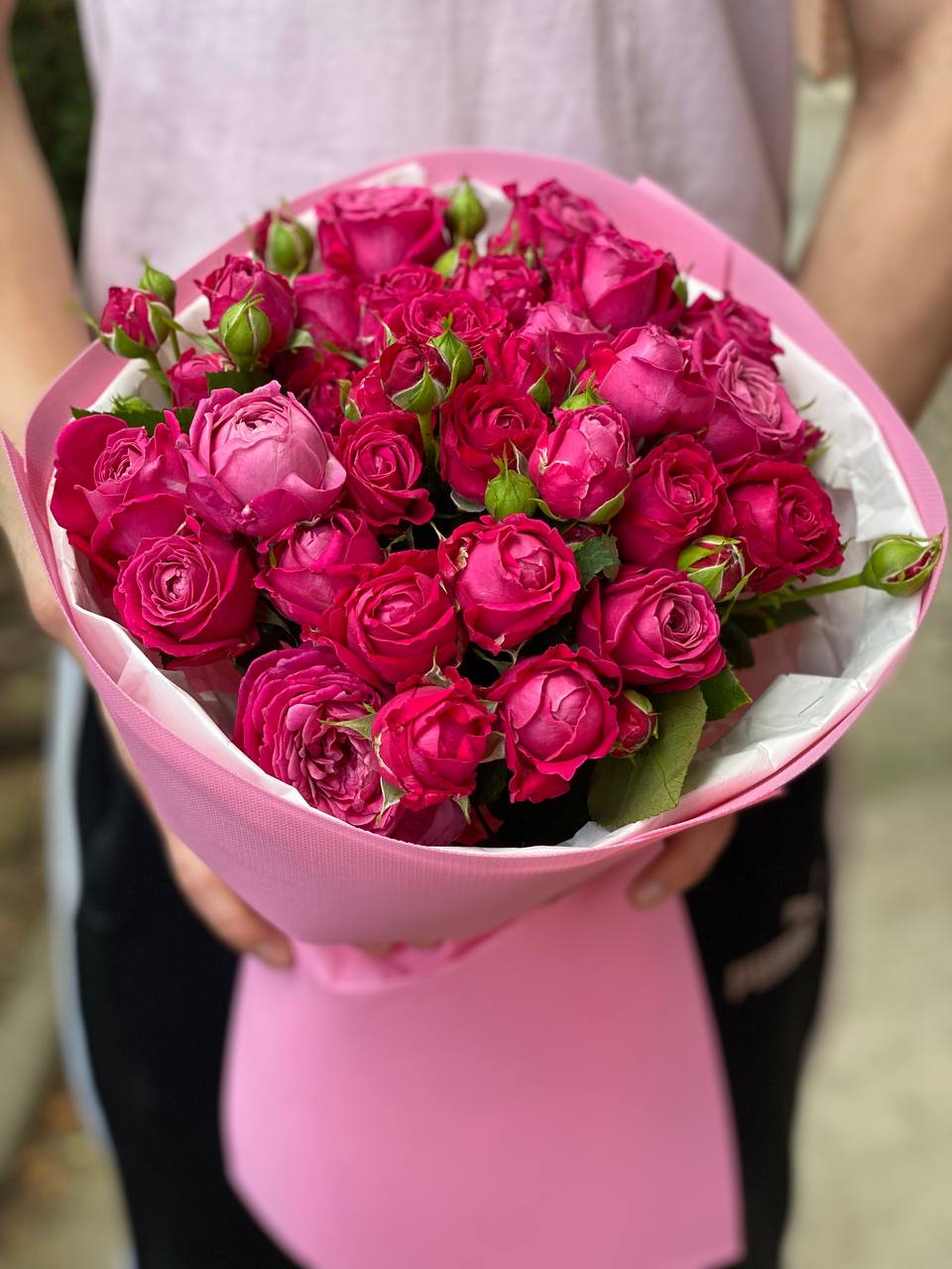 19 pfingstrosenartige Rosen Majestic“