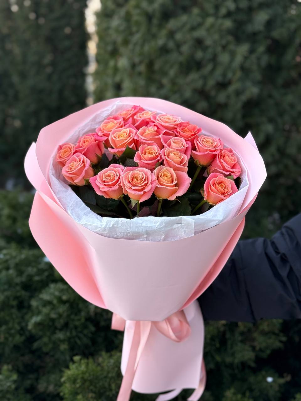 19 Rosen Miss Piggy