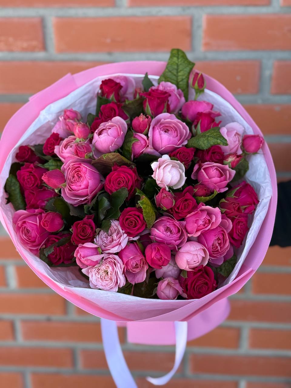 39 Rosen Light und Majestic