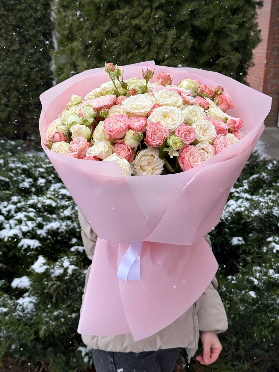 39 Rosen Prince Bombastic und Bombastic