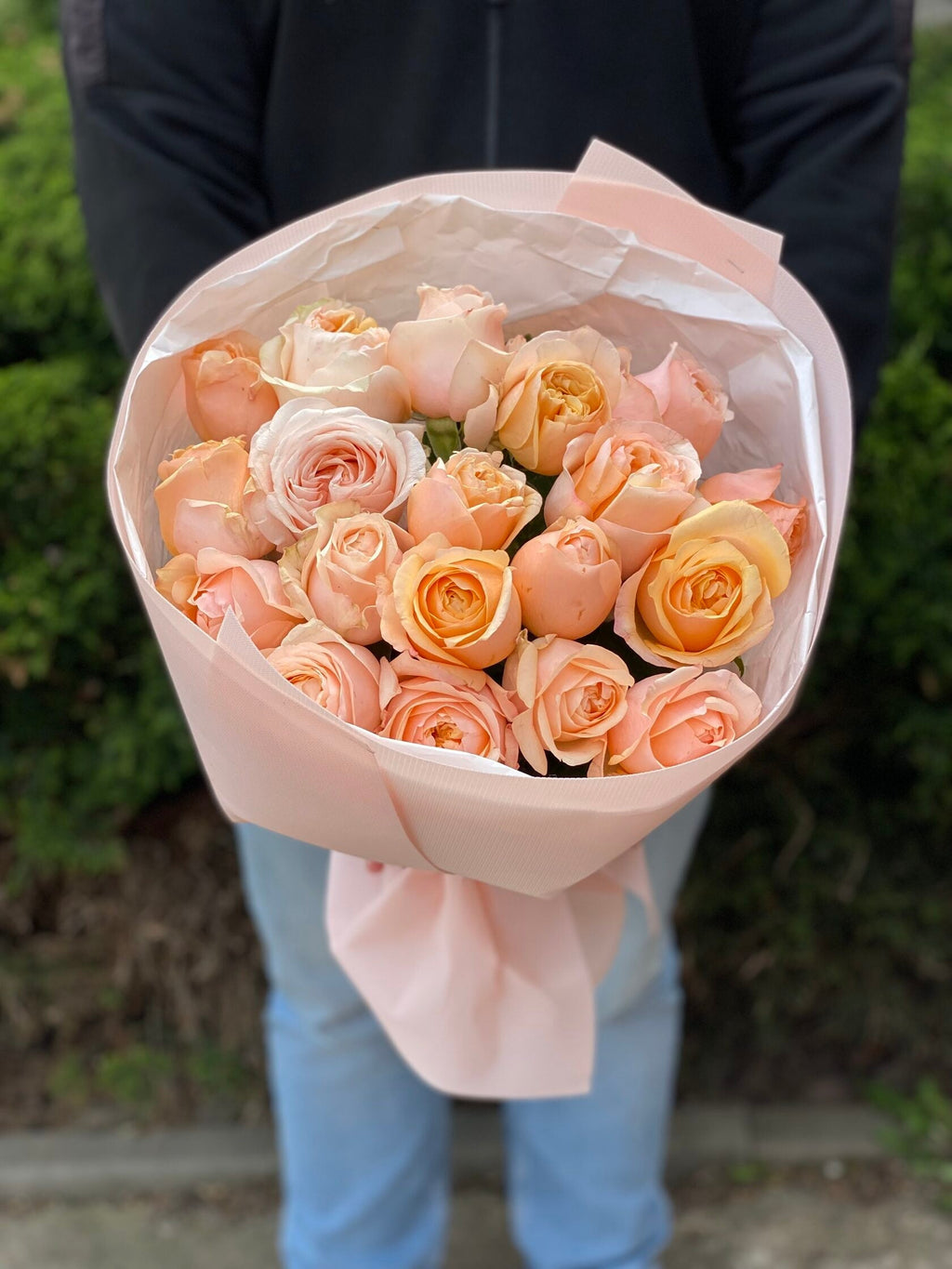 19 pfingstrosenartige Rosen Amber Sun (puderrosa)