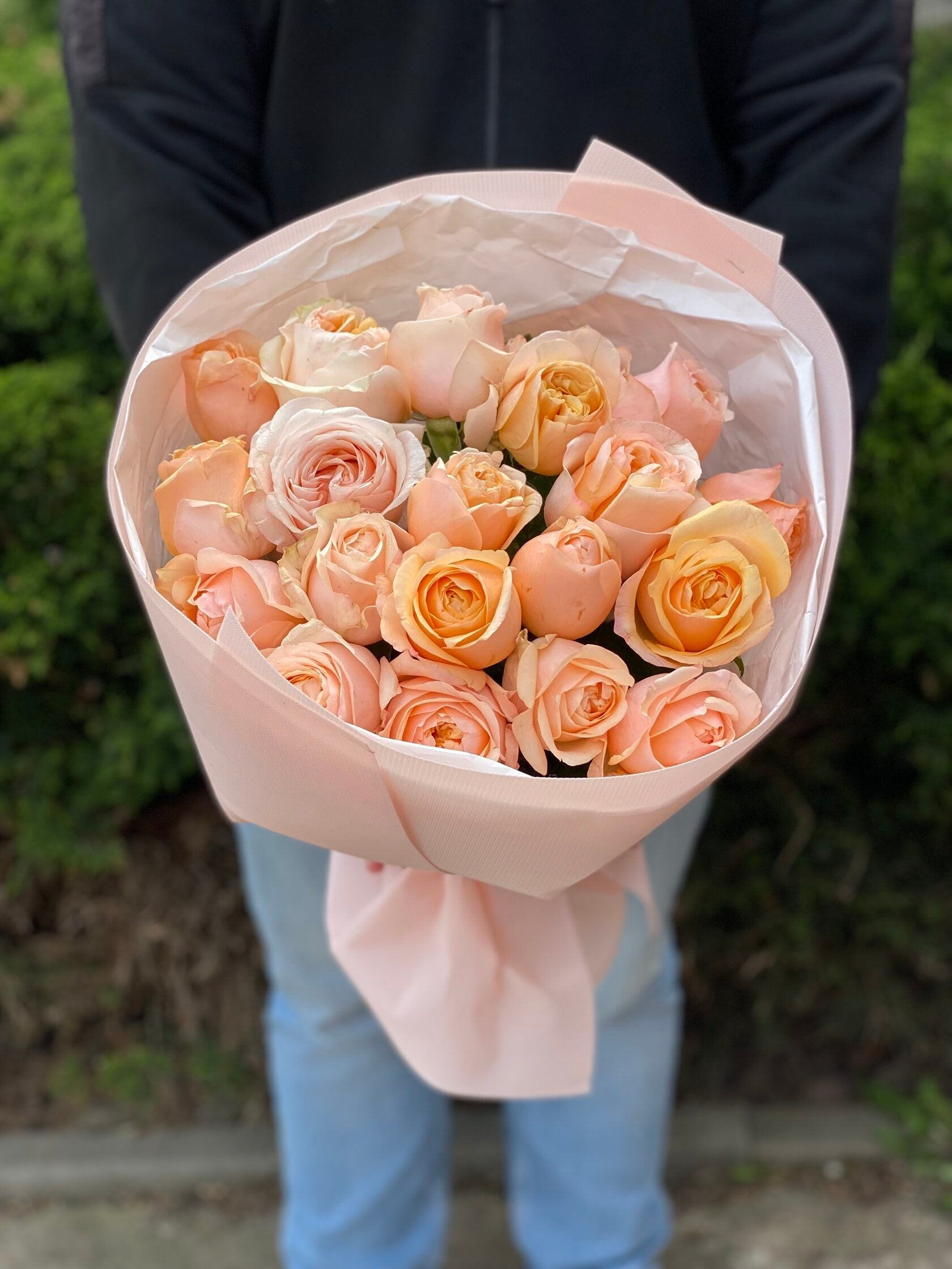 19 pfingstrosenartige Rosen Amber Sun (puderrosa)