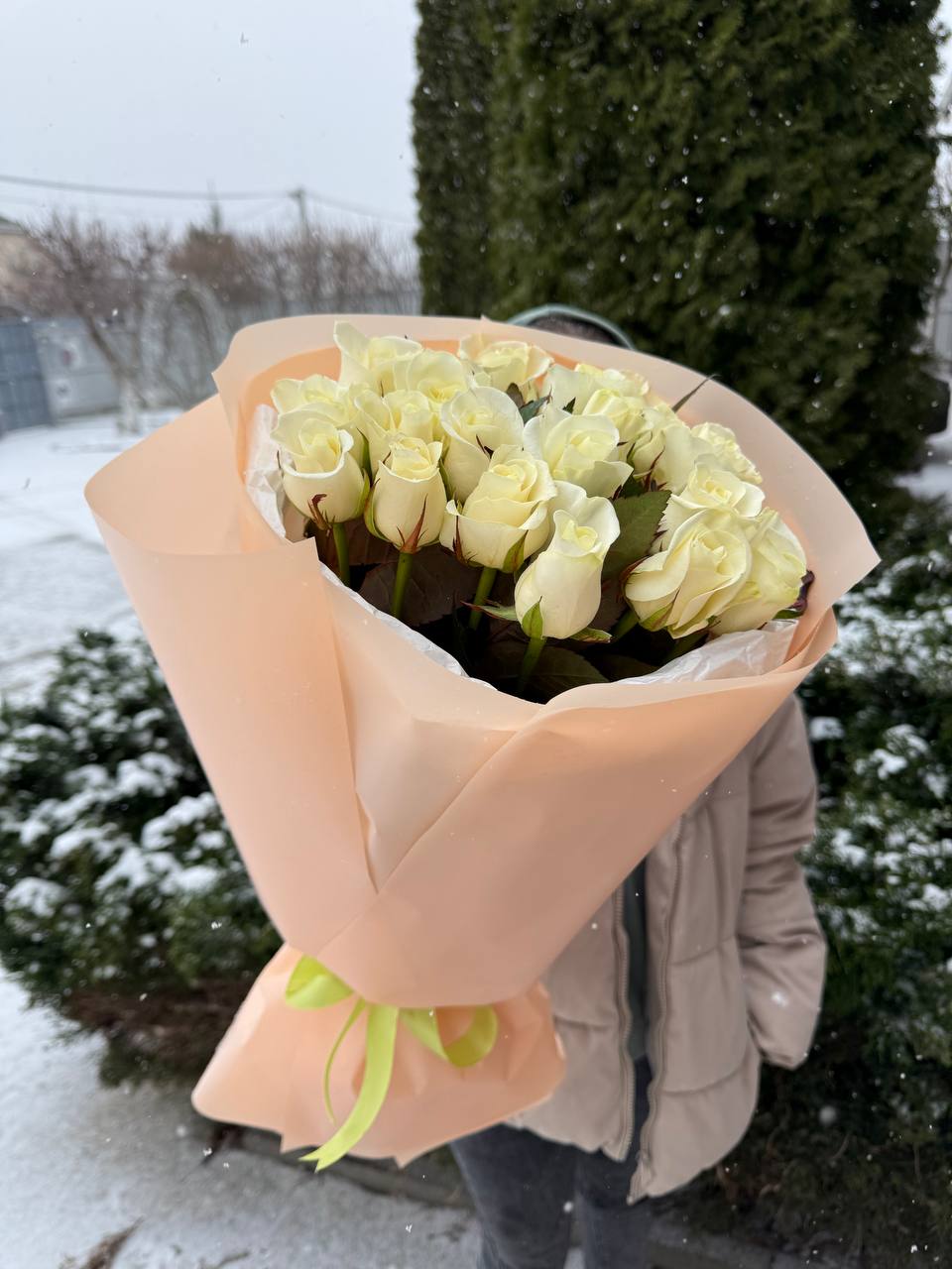 39 Rosen Beluga