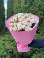 19 pfingstrosenartige Rosen Bombastic