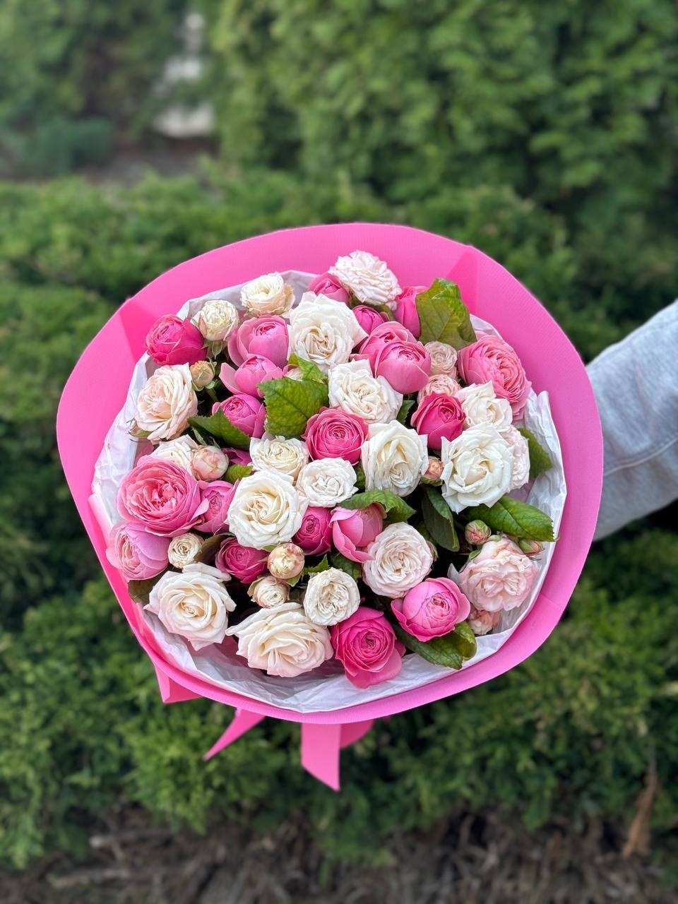 39 Rosen Light und Bombastic