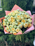 39 Rosen Peony