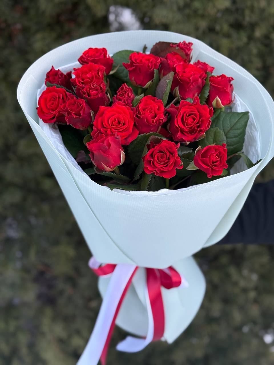 19 Rosen El Toro