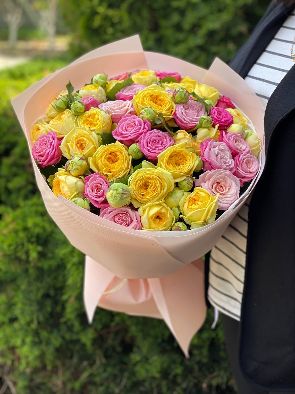 39 pfingstrosenartige Rosen Piony und Lady Bombastic