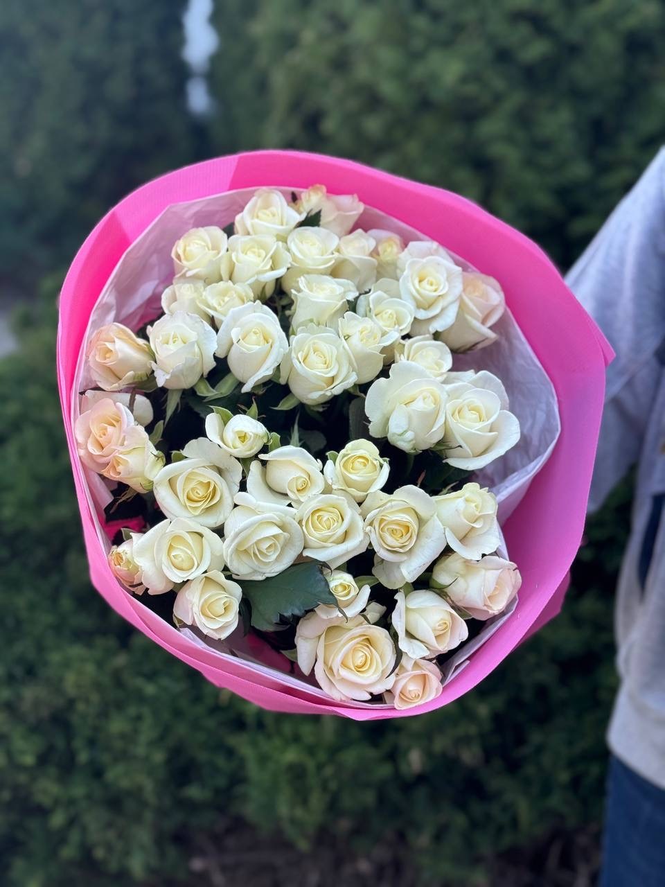 39 Rosen Beluga