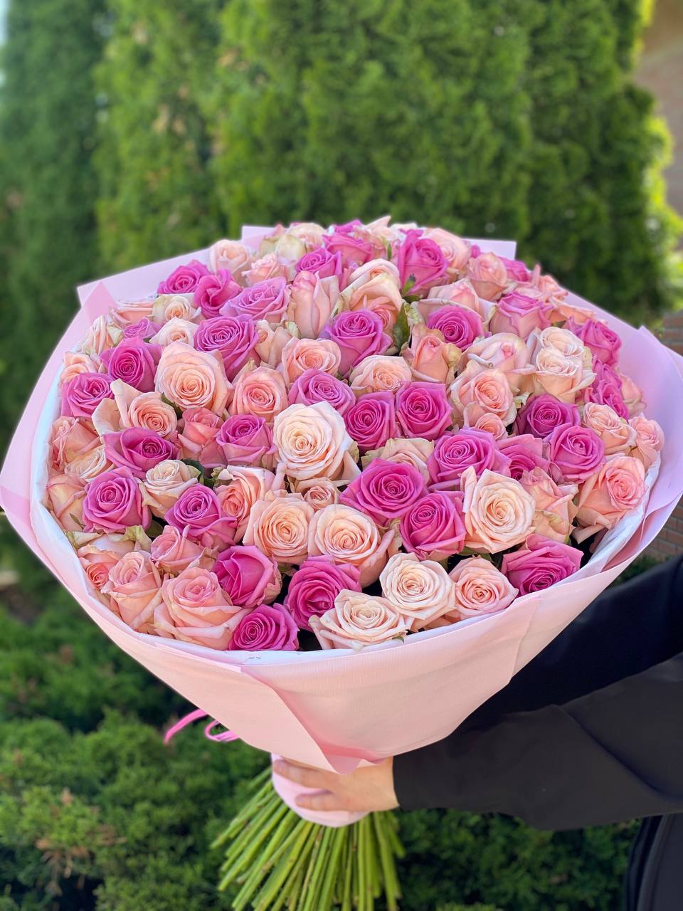101 Rosen Kimberly und Aqua