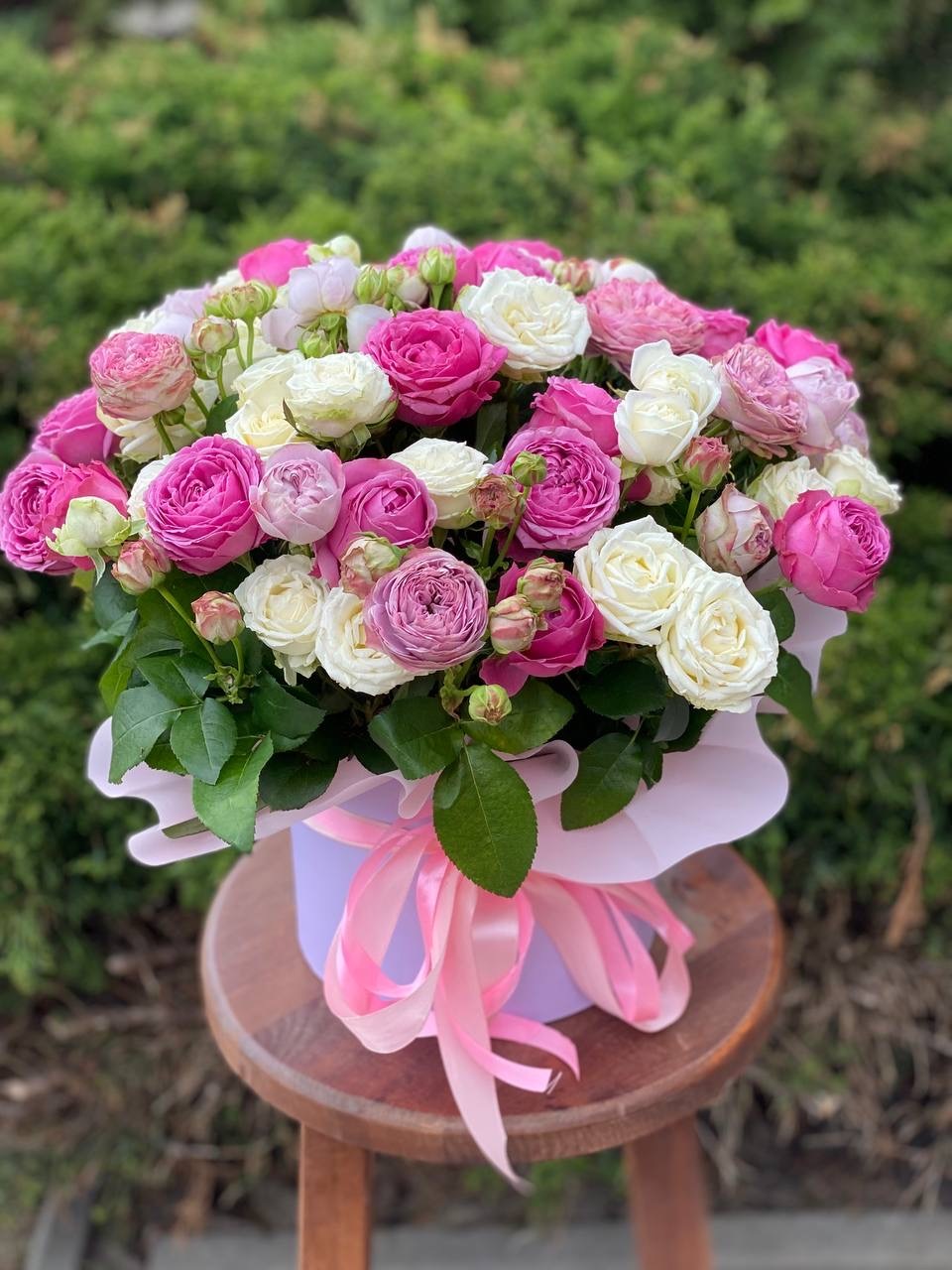 Hutbox XL 51 Rosen (Sorten Miss Bombastic und Line)
