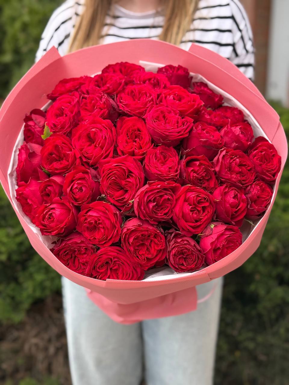 39 pfingstrosenartige Rosen Country Spirit