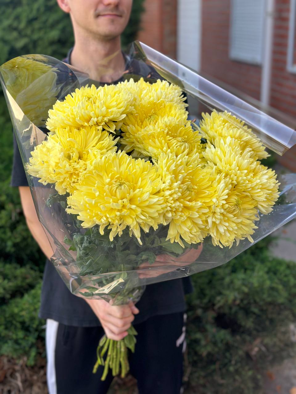 9 einblütige Chrysanthemen (gelb)