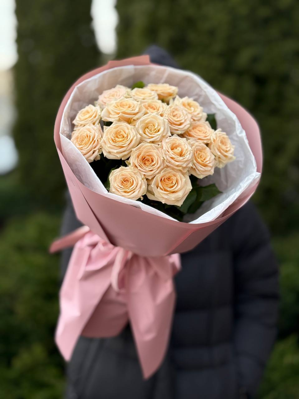 19 pfingstrosenartige Rosen Tanya