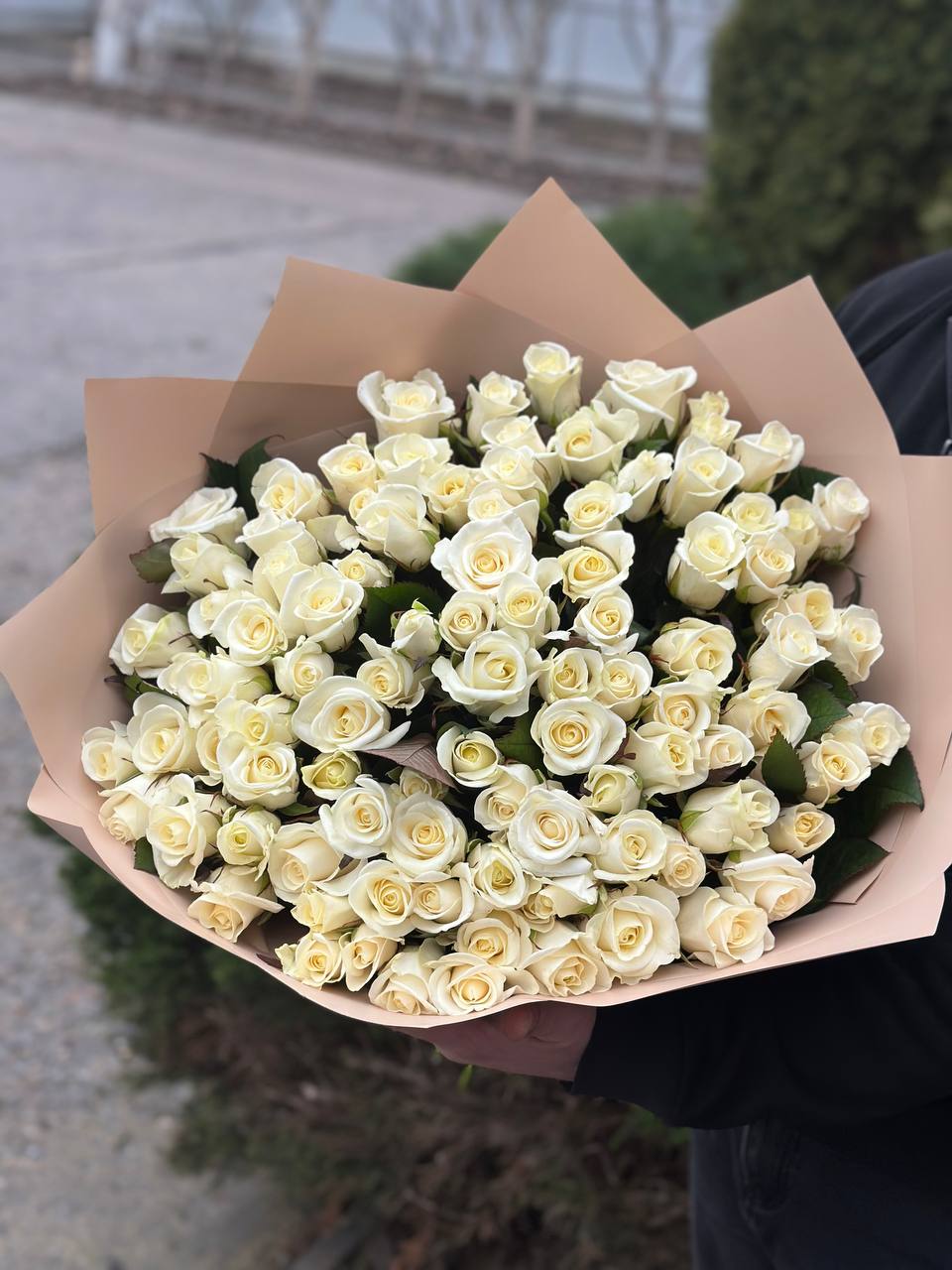 101 Rosen Beluga