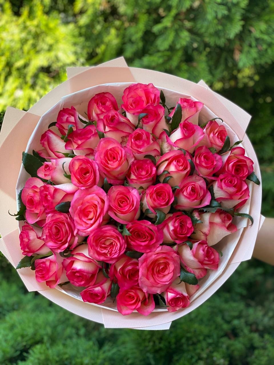 39 Rosen Jumilia