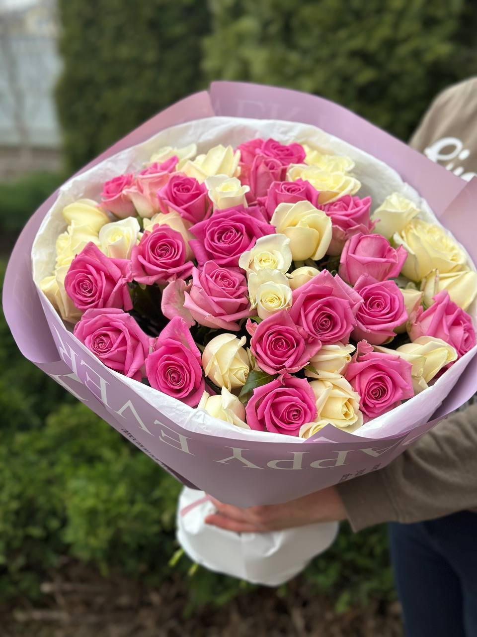 39 Rosen Beluga und Aqua
