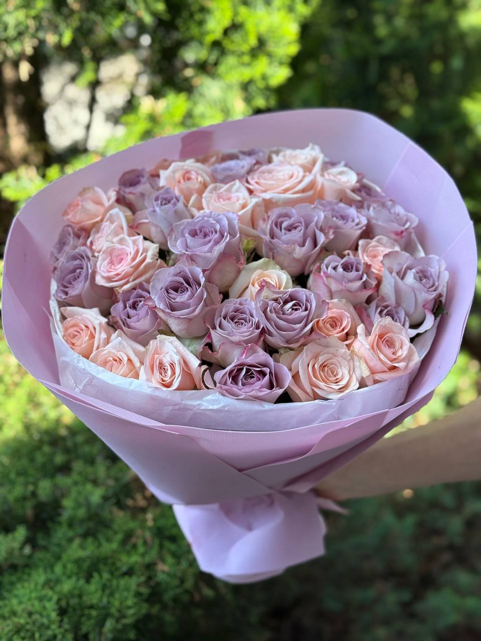 39 Rosen Kimberly und Violett