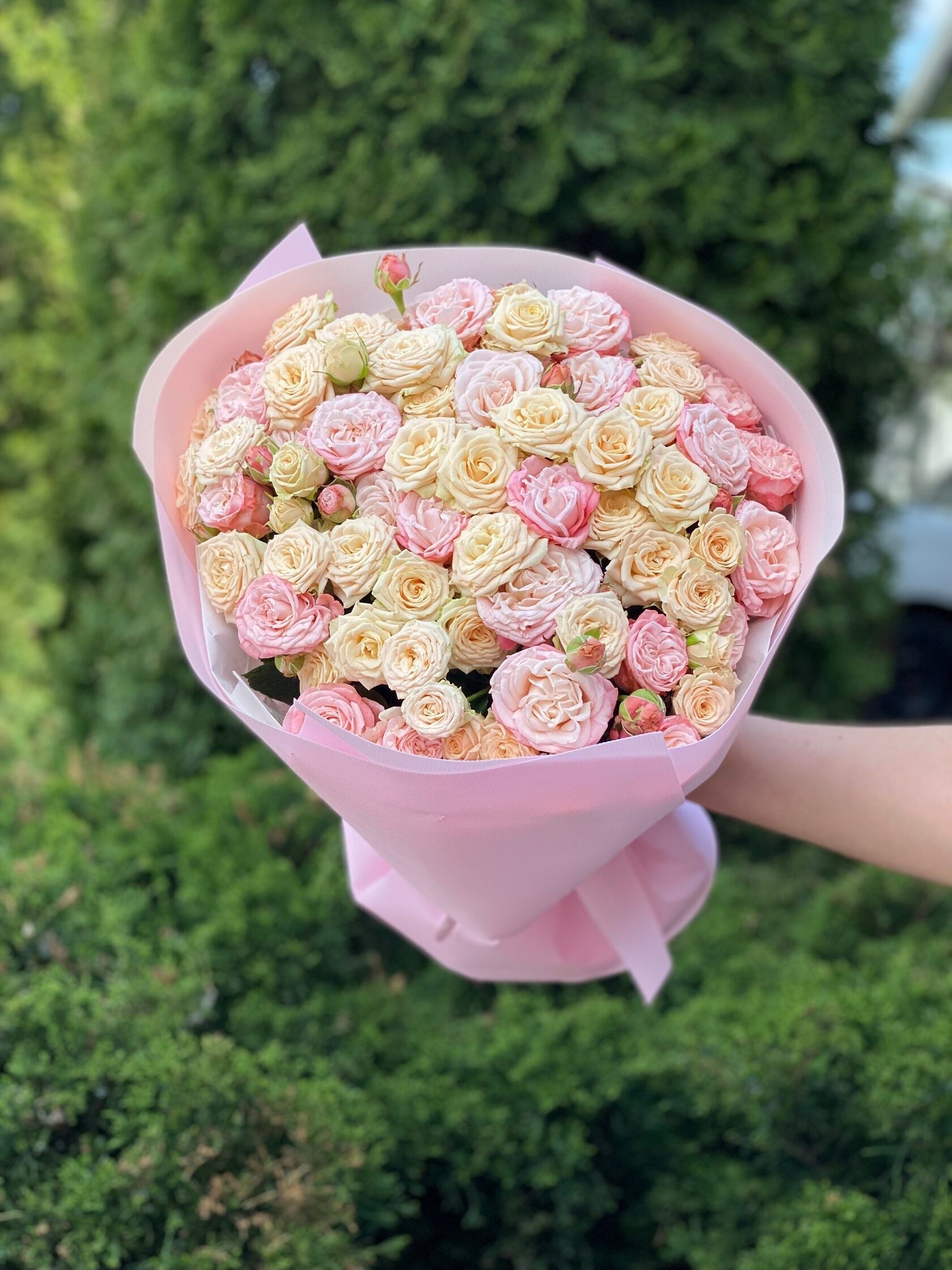 39 Rosen Tanya und Bombastic