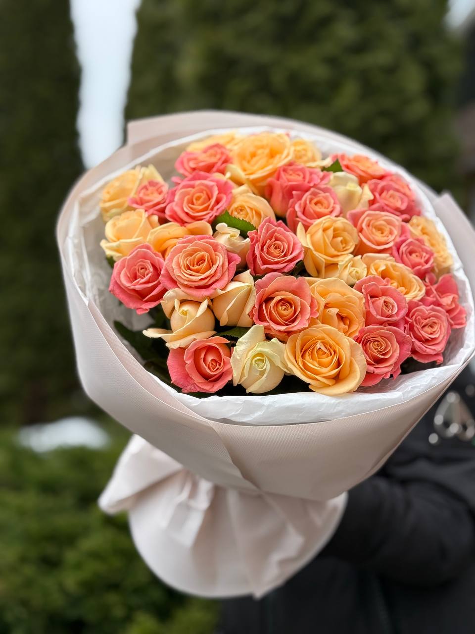 39 Rosen Miss Piggy und Peach Avalanche