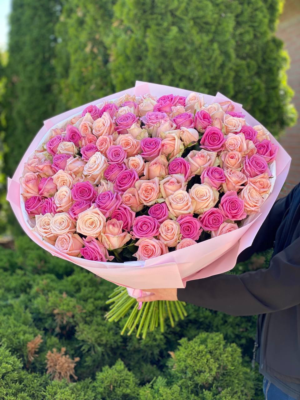 101 Rosen Kimberly und Aqua