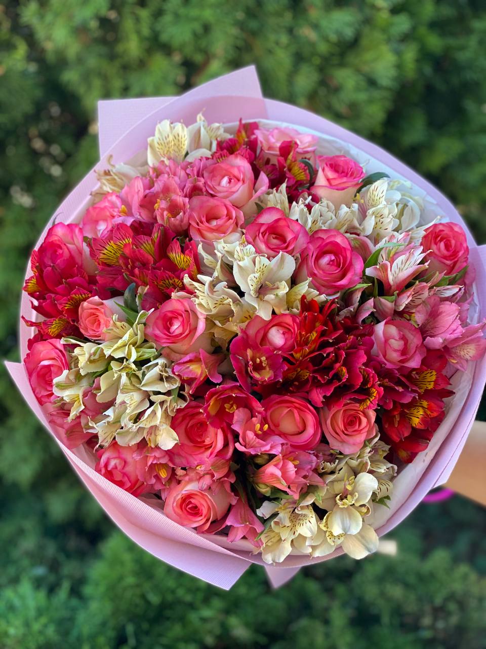 Bouquet 39 Jumilia & Alstroemeria