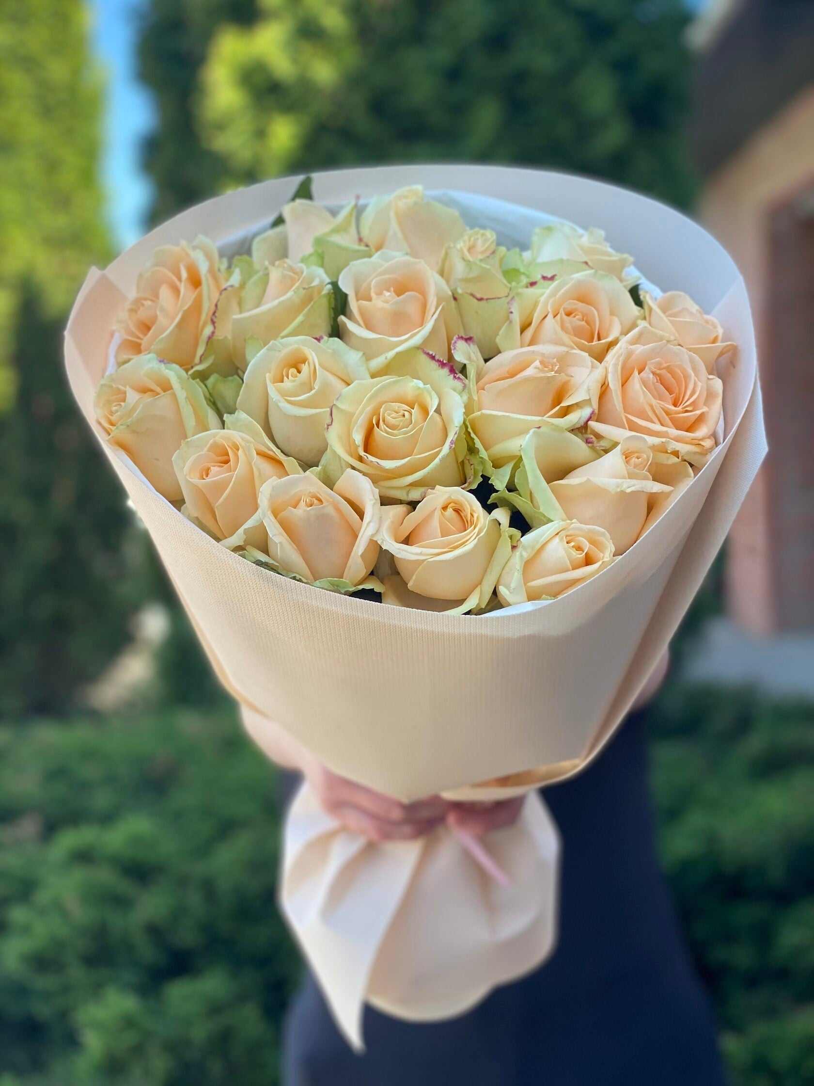 19 Rosen Peach Avalanche