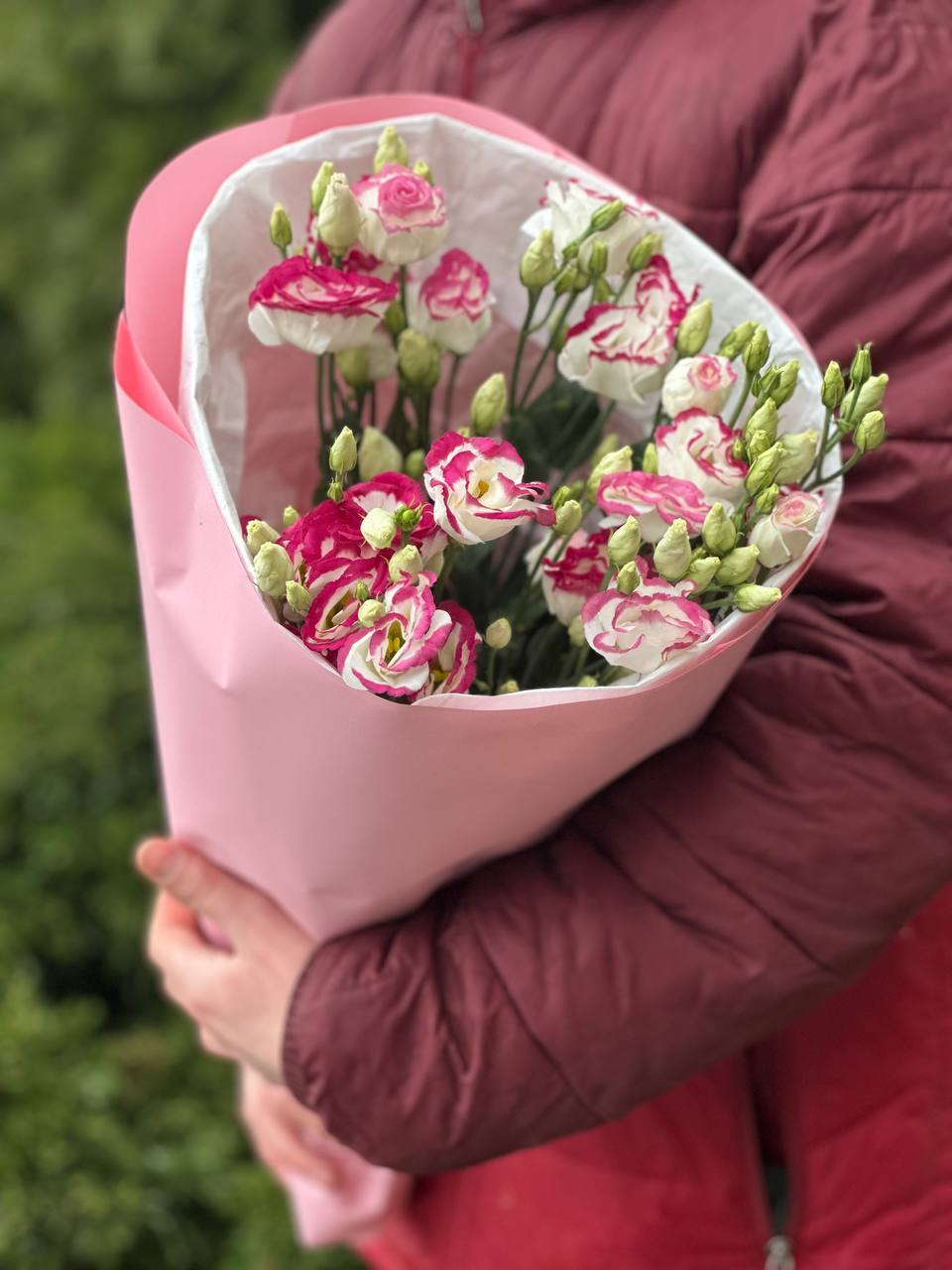 9 Stiele Eustoma weiß-rot (70 cm)