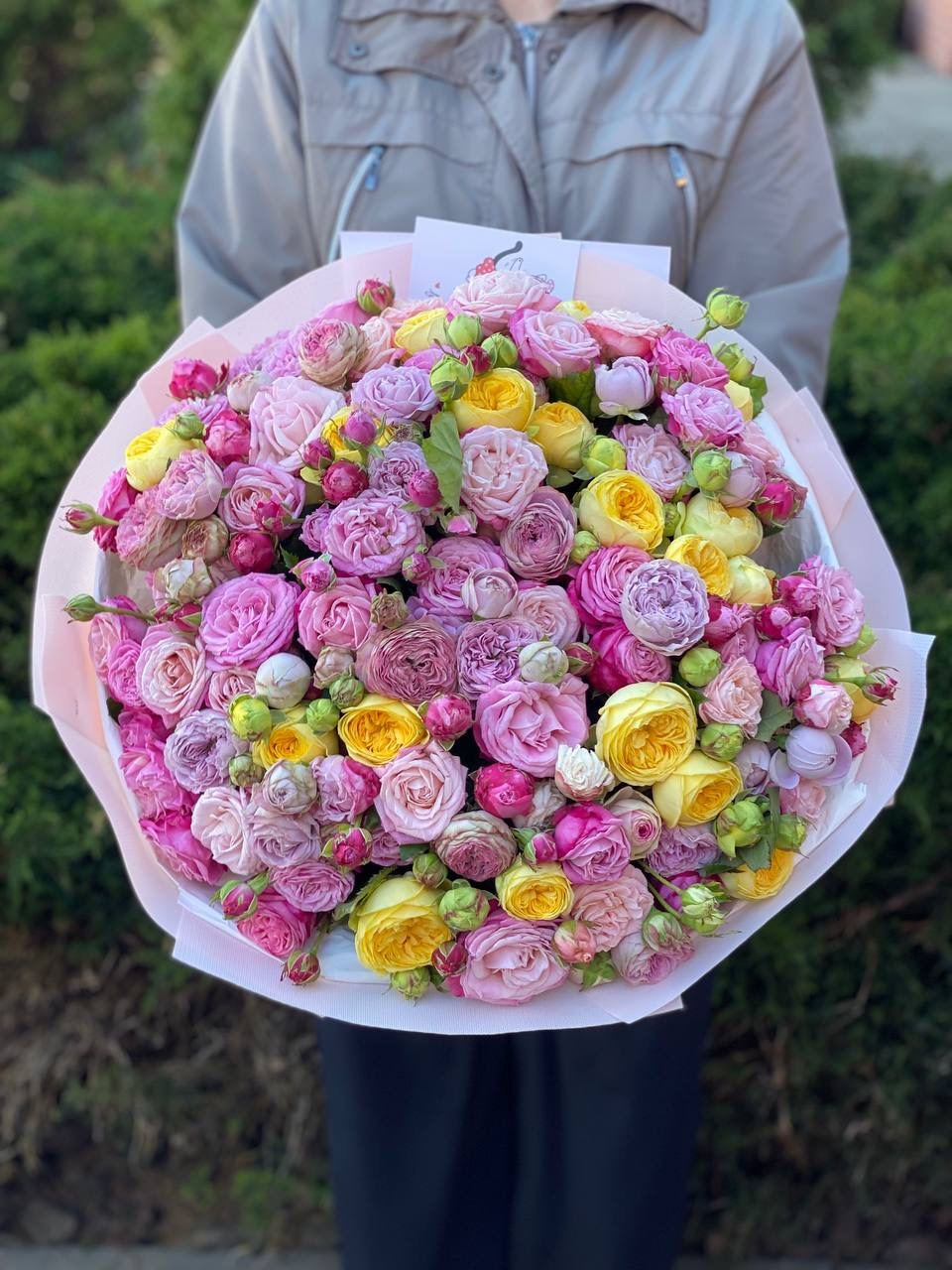101 pfingstrosenartige Rosen Lady Bombastic, Lavender, Peony