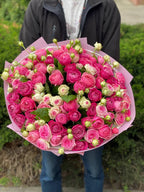 101 pfingstrosenartige Rosen Light, Gelato, Majestic