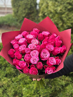 39 Rosen Prince Persia
